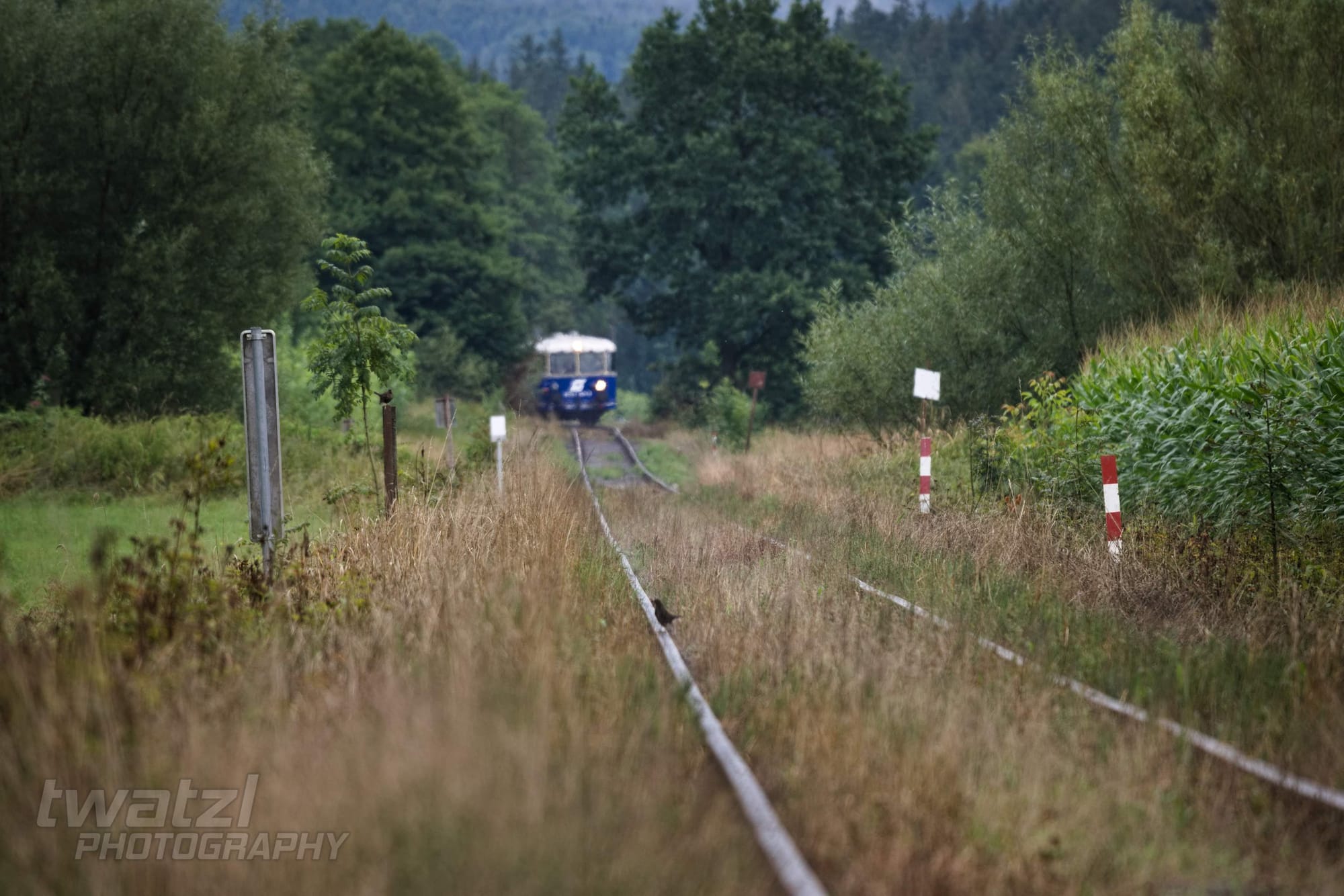 Der ÖGEG Schienenbus auf der Kohlebahn