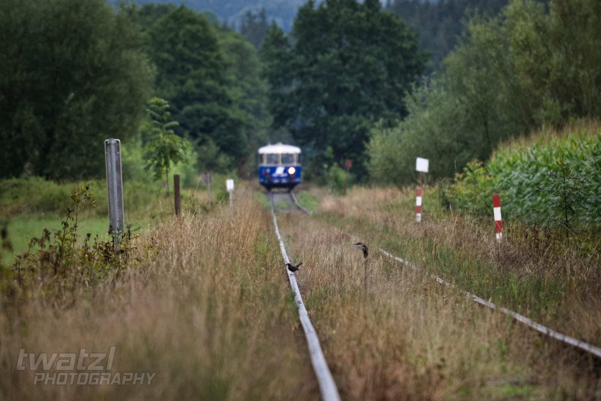 Der ÖGEG Schienenbus auf der Kohlebahn
