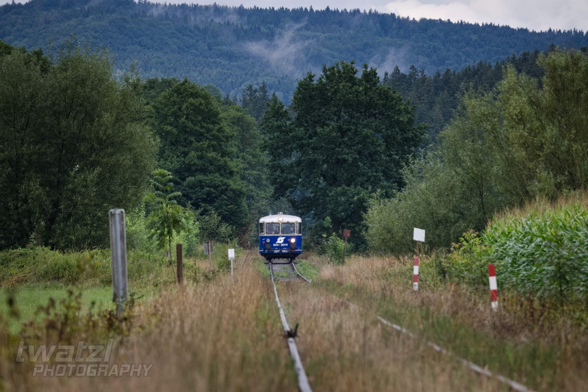 Der ÖGEG Schienenbus auf der Kohlebahn