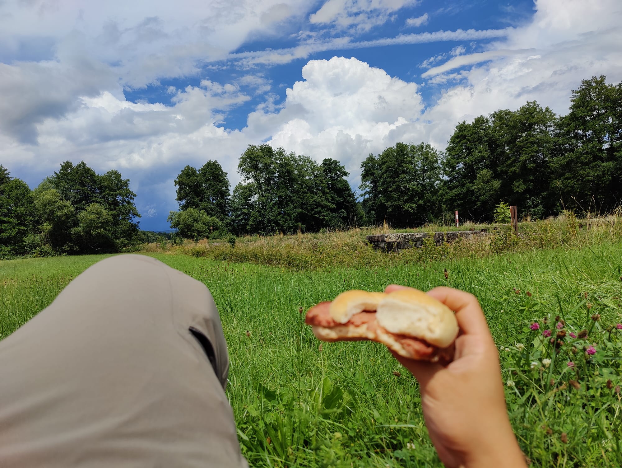 Der ÖGEG Schienenbus auf der Kohlebahn